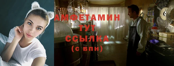 шишки Козловка