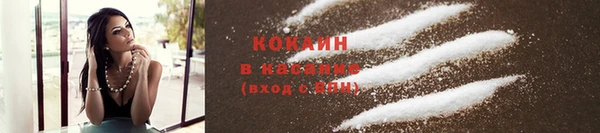шишки Козловка