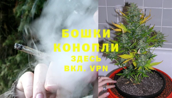 шишки Козловка