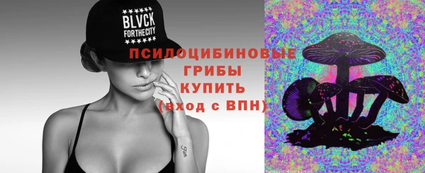 шишки Козловка